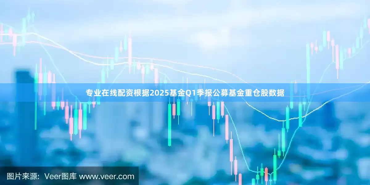 专业在线配资根据2025基金Q1季报公募基金重仓股数据