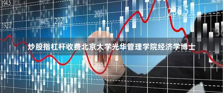 炒股指杠杆收费北京大学光华管理学院经济学博士